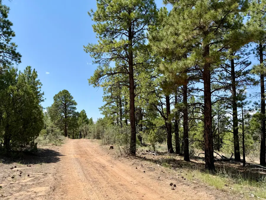 3 Leaning Pine Lane, Ramah, NM 87321 - #2