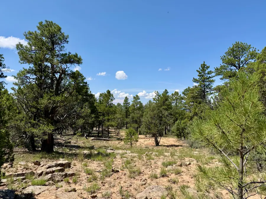 3 Leaning Pine Lane, Ramah, NM 87321 - #3