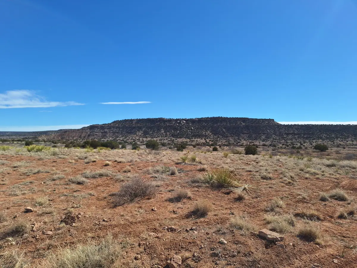 E Magnolia Road, Garita, NM 88421 - #1