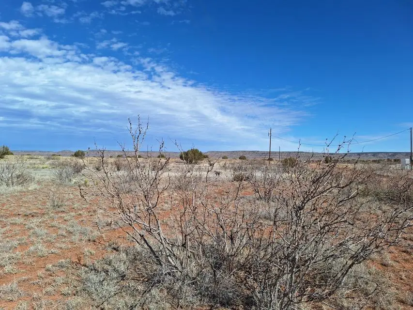 E Magnolia Road, Garita, NM 88421 - #3