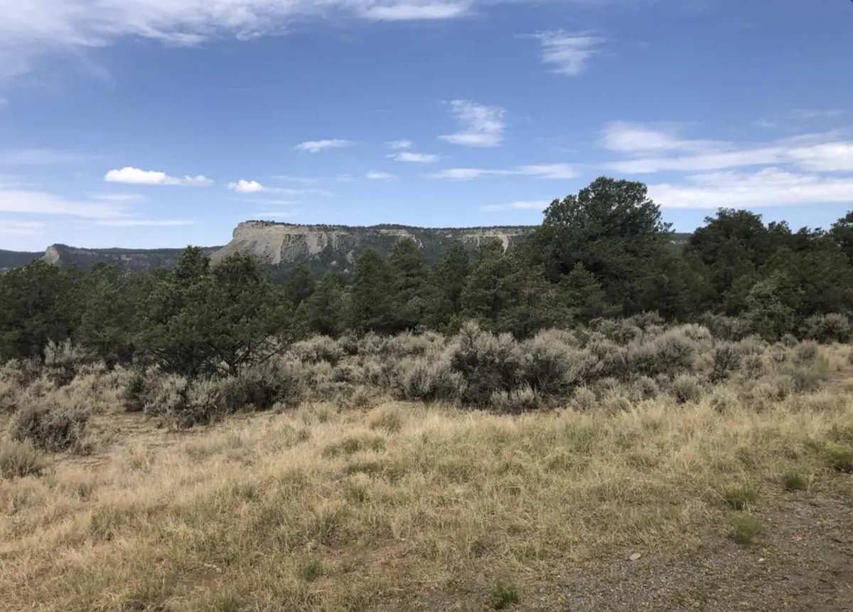 S Leaning Lot A, Tierra Amarilla, NM 87575 - #1