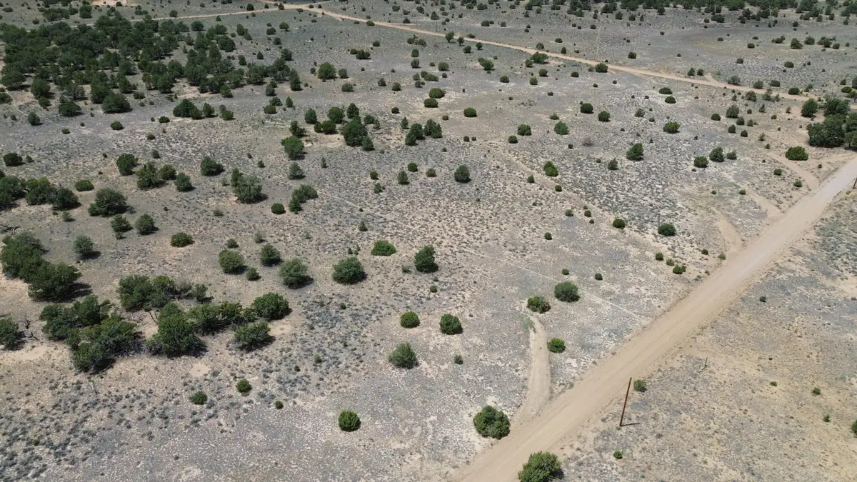 LOT: 129 Antelope Run Road, Pie Town, NM 87827 - #1
