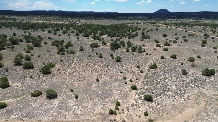 LOT: 129 Antelope Run Road, Pie Town, NM 87827 - #2