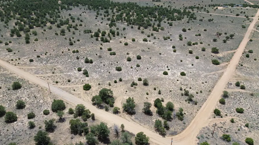LOT: 129 Antelope Run Road, Pie Town, NM 87827 - #3
