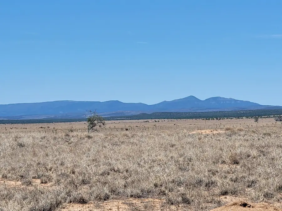 10 Butterfly Lane, McIntosh, NM 87032 - #2