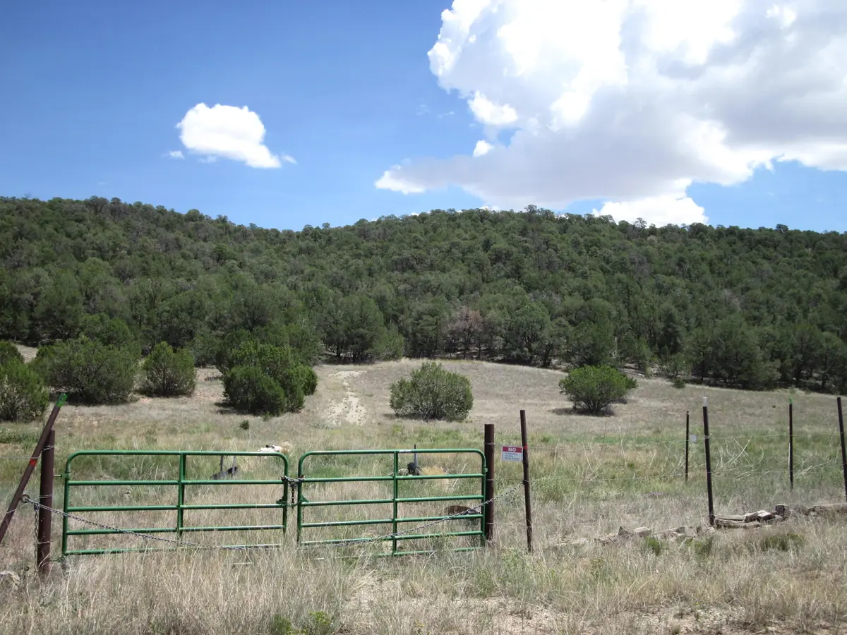 40 Pleasant Valley Drive, Edgewood, NM 87015 - #1