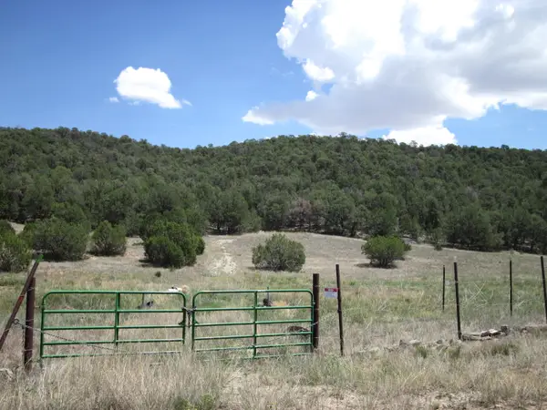 40 Pleasant Valley Drive, Edgewood, NM 87015
