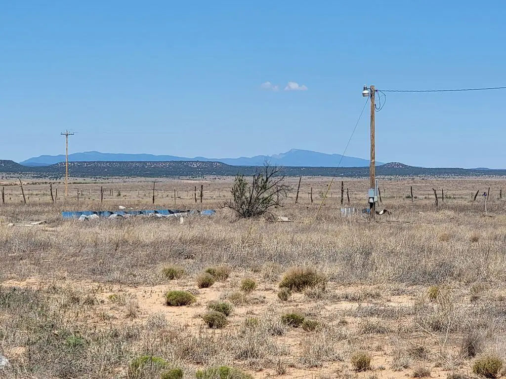 124 Arlene Drive, Estancia, NM 87016 - #1