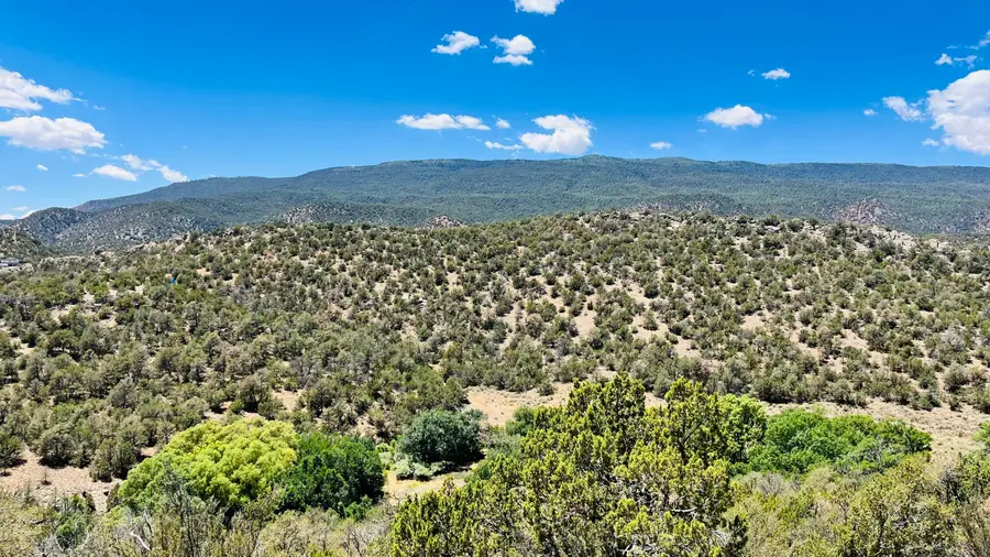 18 Larry Lane, Cedar Crest, NM 87008 - #2
