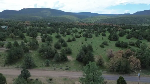 LOT N-12 Largo Canyon Loop, Quemado, NM 87829