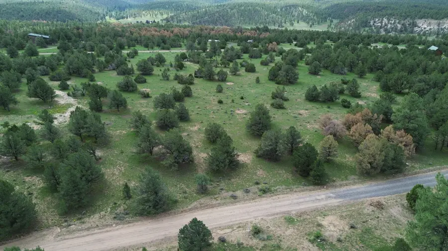 LOT N-12 Largo Canyon Loop, Quemado, NM 87829 - #2