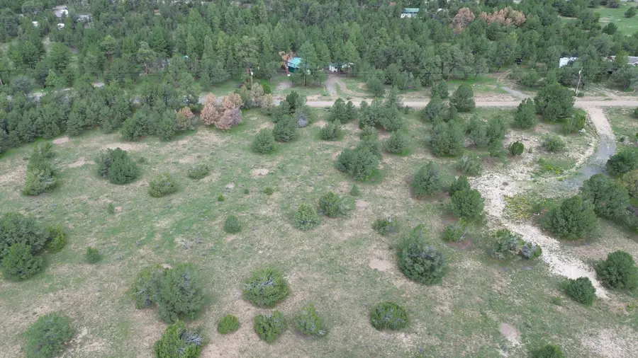 LOT N-12 Largo Canyon Loop, Quemado, NM 87829 - #3
