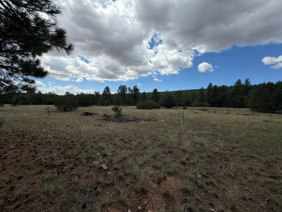 20 Katy Lane, Mountainair, NM 87036 - #2
