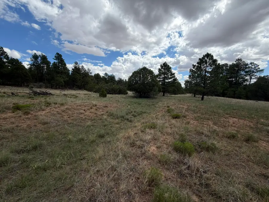 20 Katy Lane, Mountainair, NM 87036 - #3