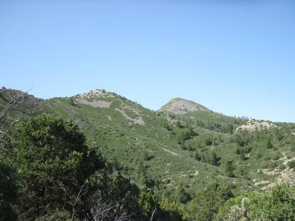 294 Ranchitos Road, Sandia Park, NM 87047