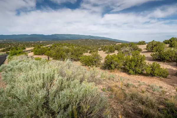 25 Stage Coach Trail, Sandia Park, NM 87047