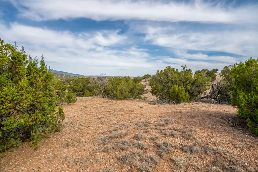 25 Stage Coach Trail, Sandia Park, NM 87047 - #3