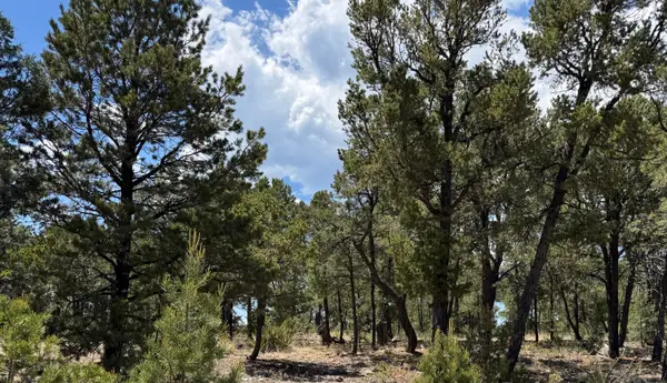 7 Dancing Hawk Drive, Pecos, NM 87552