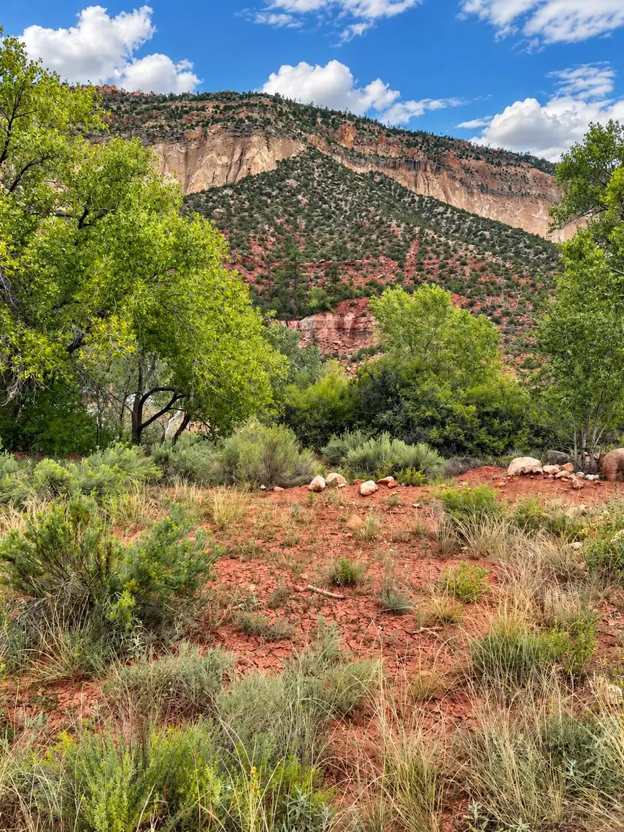 TBD Lot B-1, Jemez Springs, NM 87025 - #3
