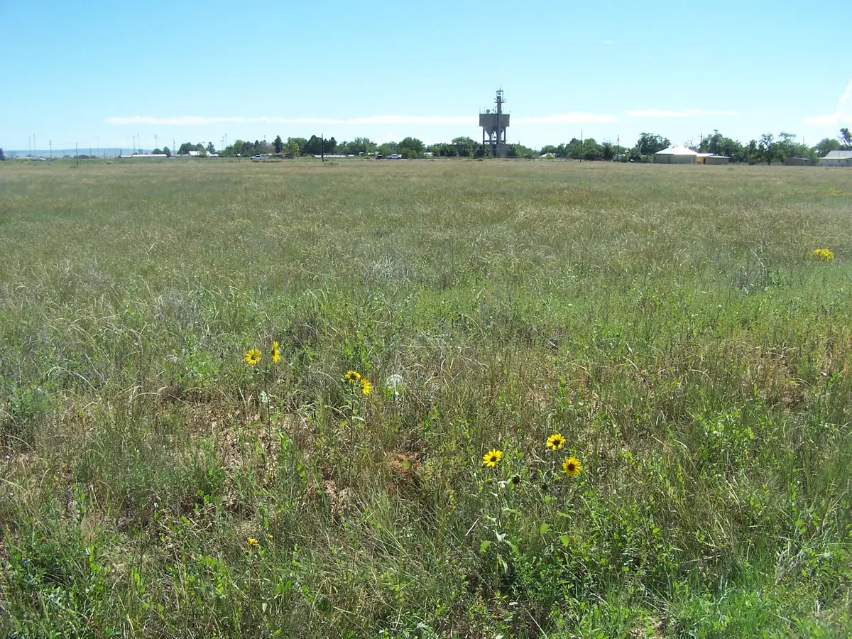 8th St/amelia- East, Moriarty, NM 87035 - #1