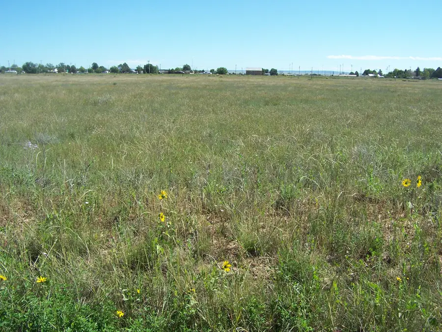 8th St/amelia- East, Moriarty, NM 87035 - #2