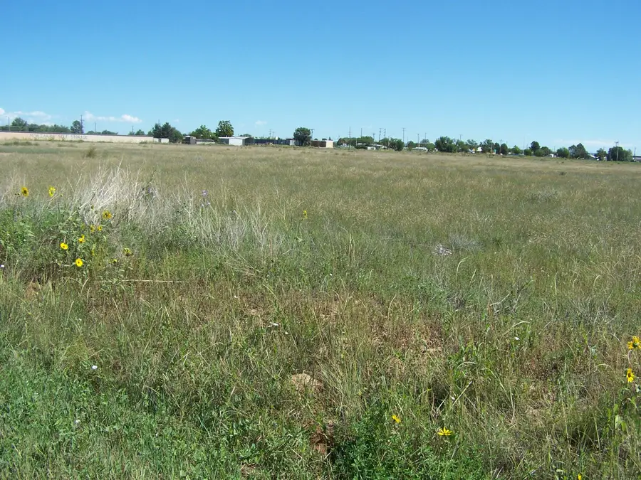 8th St/amelia- East, Moriarty, NM 87035 - #3