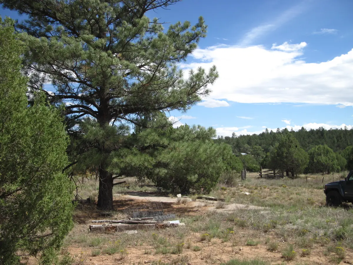 403 Juan Tomas Road, Tijeras, NM 87059 - #1