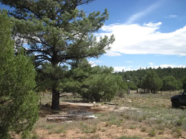 403 Juan Tomas Road, Tijeras, NM 87059