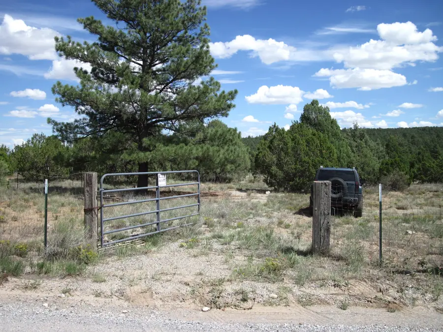 403 Juan Tomas Road, Tijeras, NM 87059 - #2