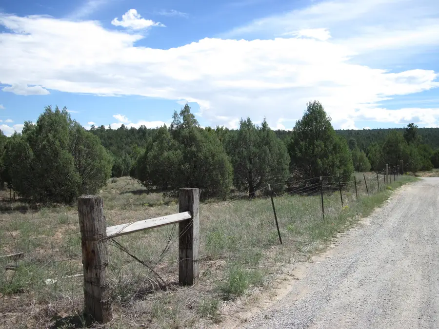 403 Juan Tomas Road, Tijeras, NM 87059 - #3
