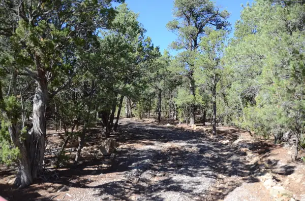 109 Via Sedillo Road, Tijeras, NM 87059