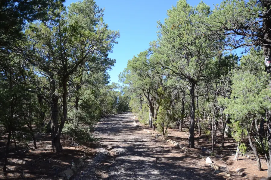 109 Via Sedillo Road, Tijeras, NM 87059 - #2
