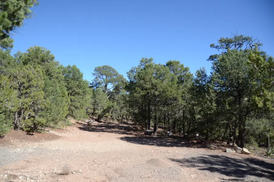 109 Via Sedillo Road, Tijeras, NM 87059 - #3