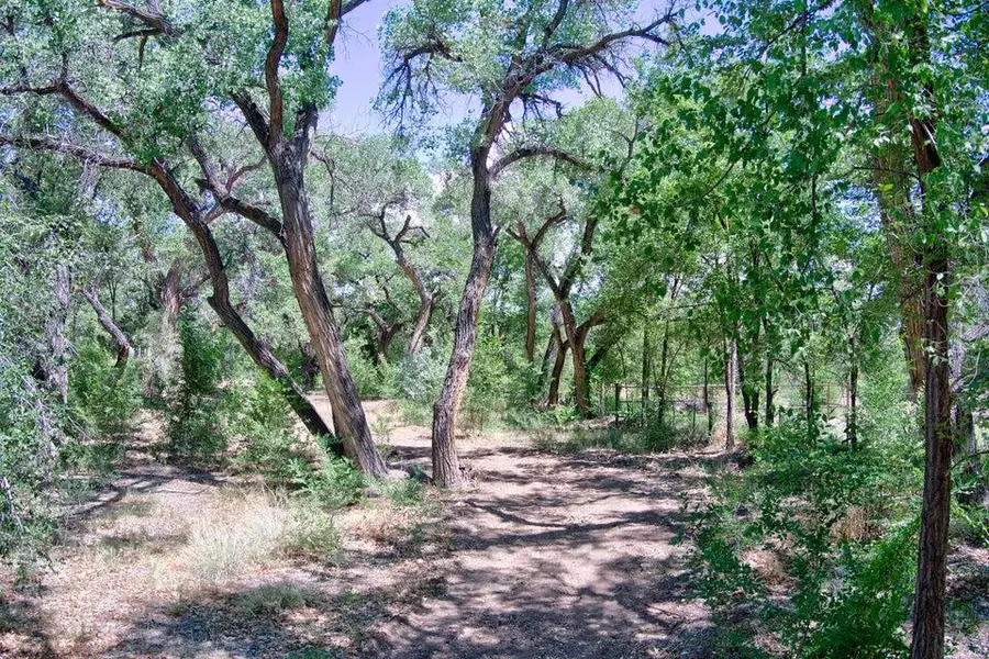 Bosque Oculto Lot B1-c, Corrales, NM 87048 - #2