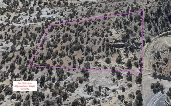 Lions Trail, Farmington, NM 87401