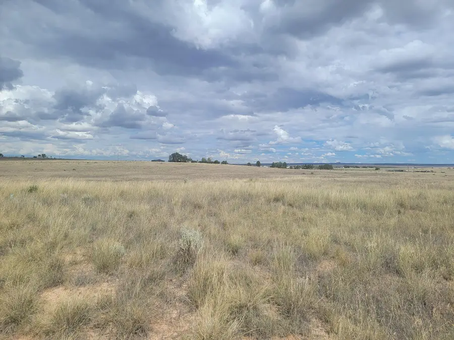 Address Withheld By Seller, Moriarty, NM 87035 - #2