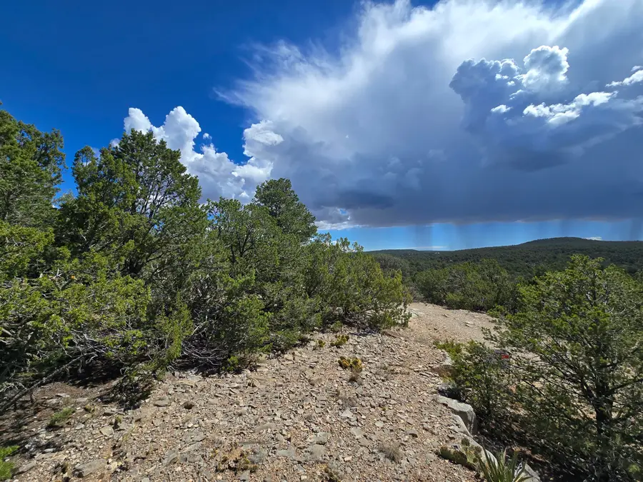 10 Enchantment, Tijeras, NM 87059 - #2