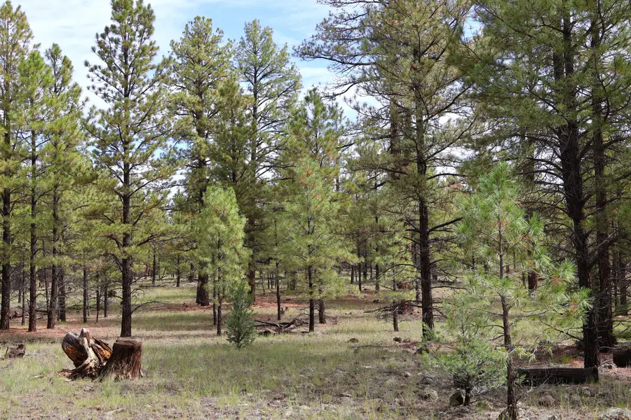 Lot 44 Rhyolite Road, Grants, NM 87020 - #2