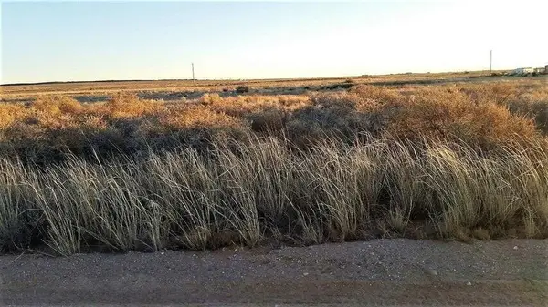 Windward Lot 43 Drive, Edgewood, NM 87015