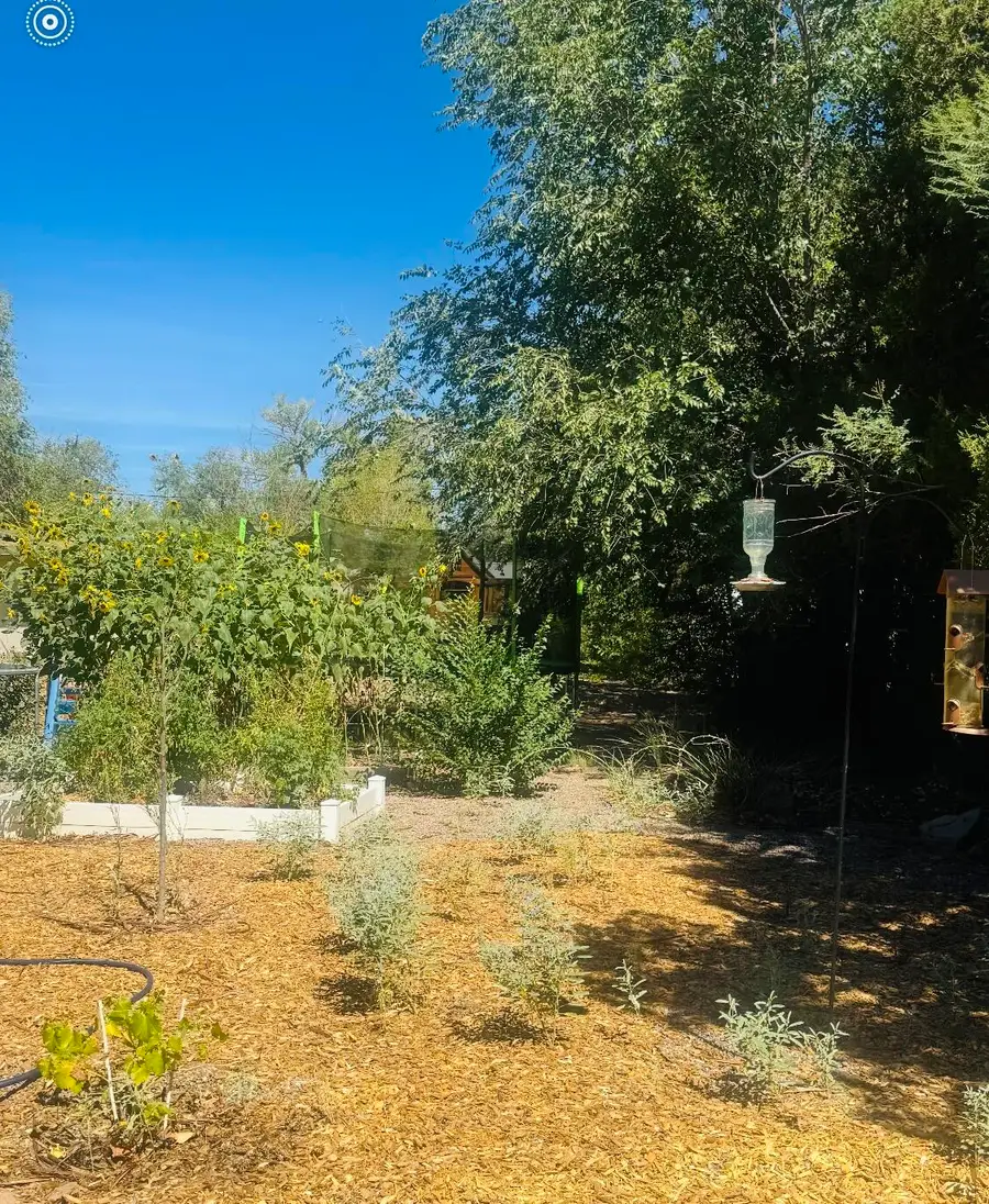 3123 Spur Court Nw, Albuquerque, NM 87104 - #2