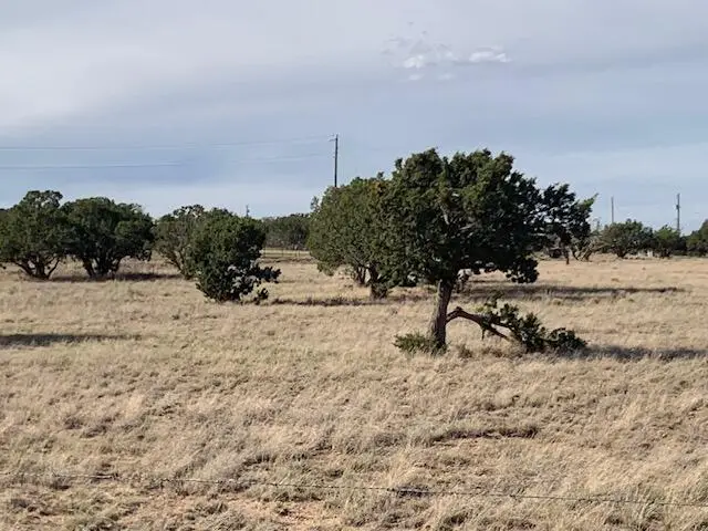 10 Moonlight Meadows, Edgewood, NM 87015 - #1