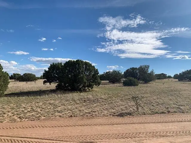 28 Kirk Lane, Edgewood, NM 87015 - #2