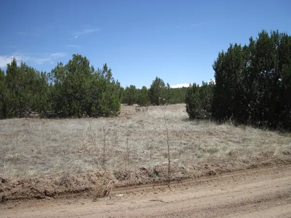 110 Jesse James Road, Edgewood, NM 87015