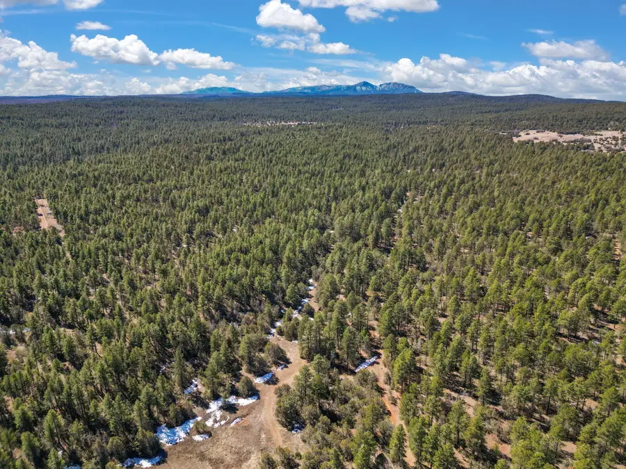 0 Raquel Road, Tijeras, NM 87059 - #2