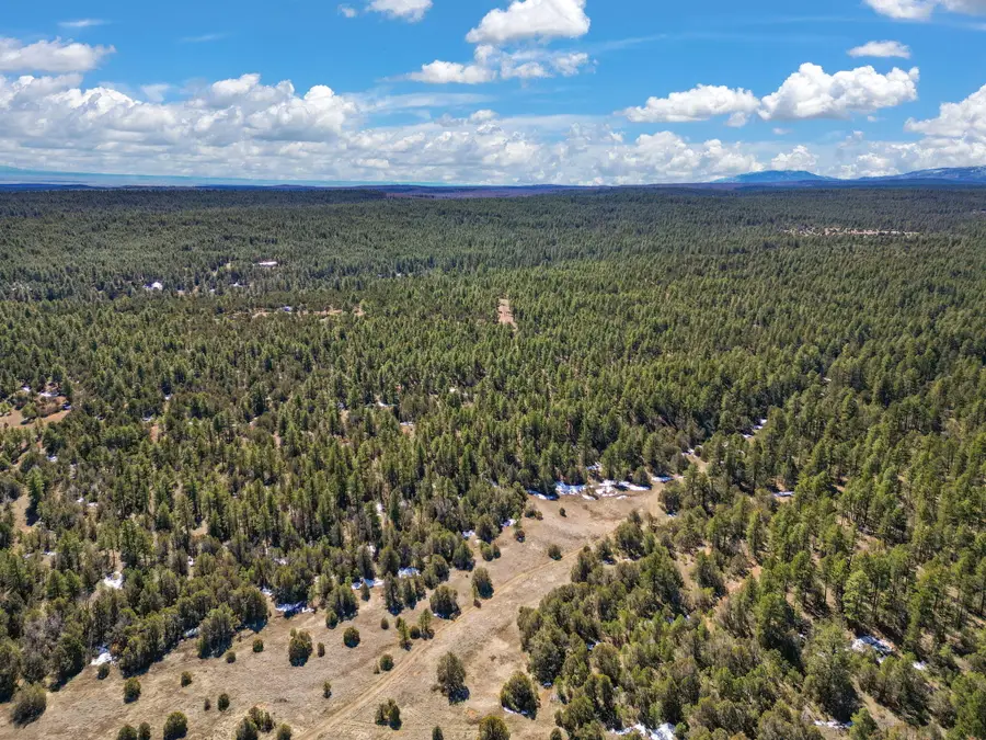 0 Raquel Road, Tijeras, NM 87059 - #3