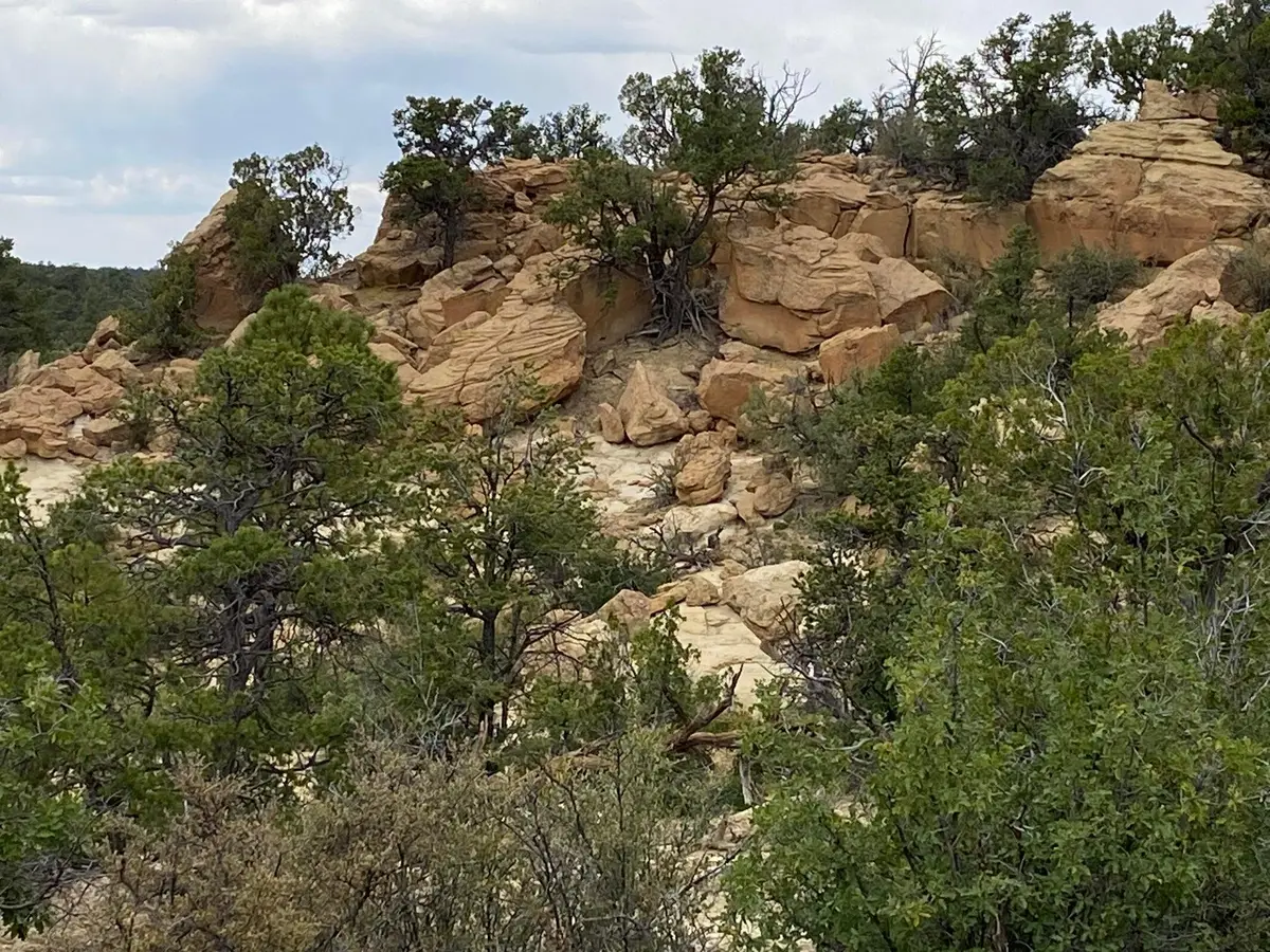 Lots 10-11 Old Well Road, Ramah, NM 87321 - #1