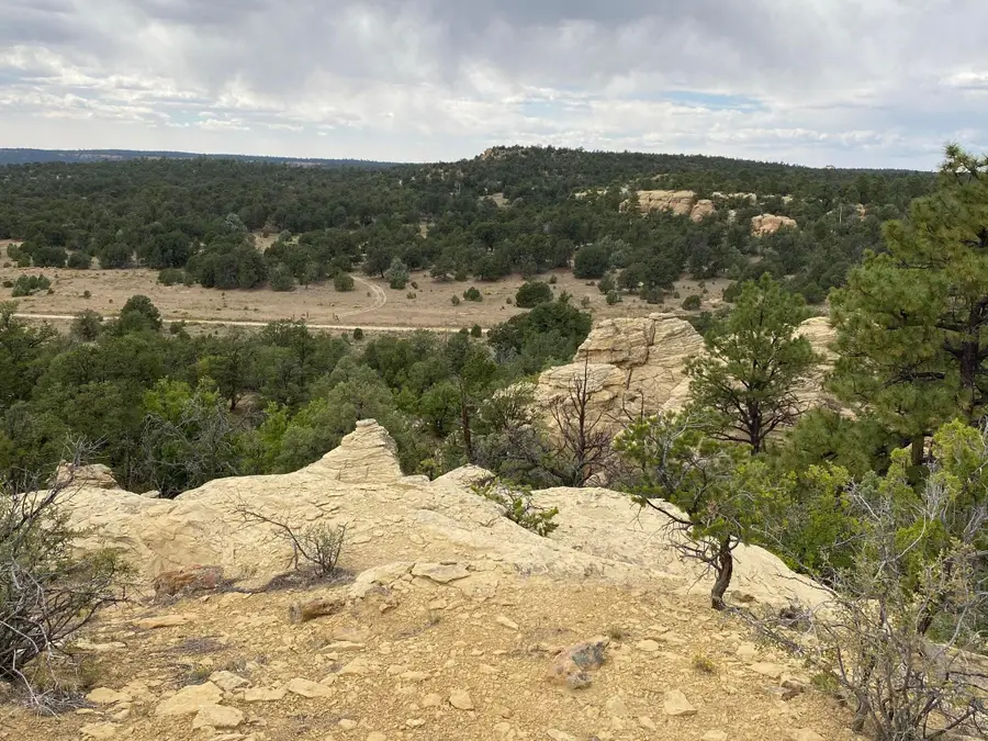 Lots 10-11 Old Well Road, Ramah, NM 87321 - #3