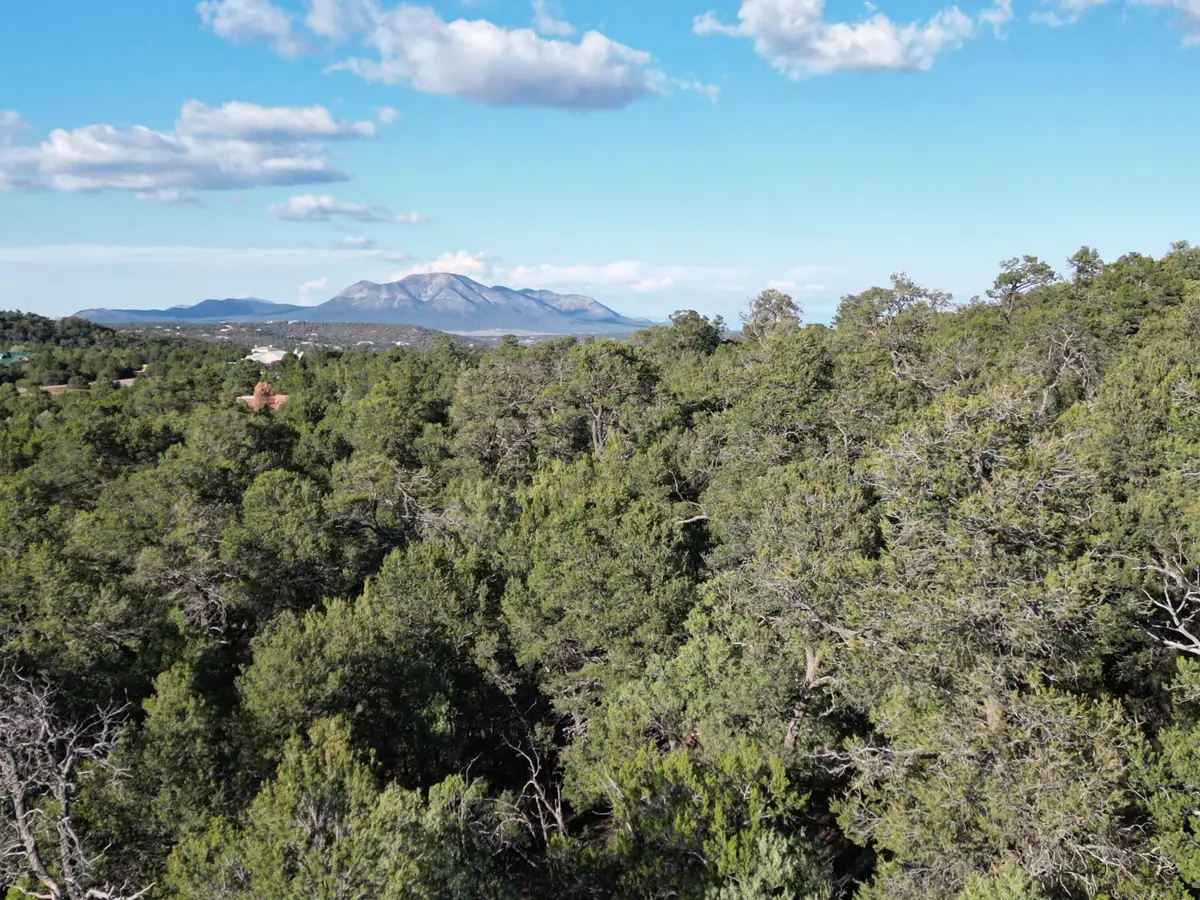 9 Los Pecos Loop, Tijeras, NM 87059 - #1