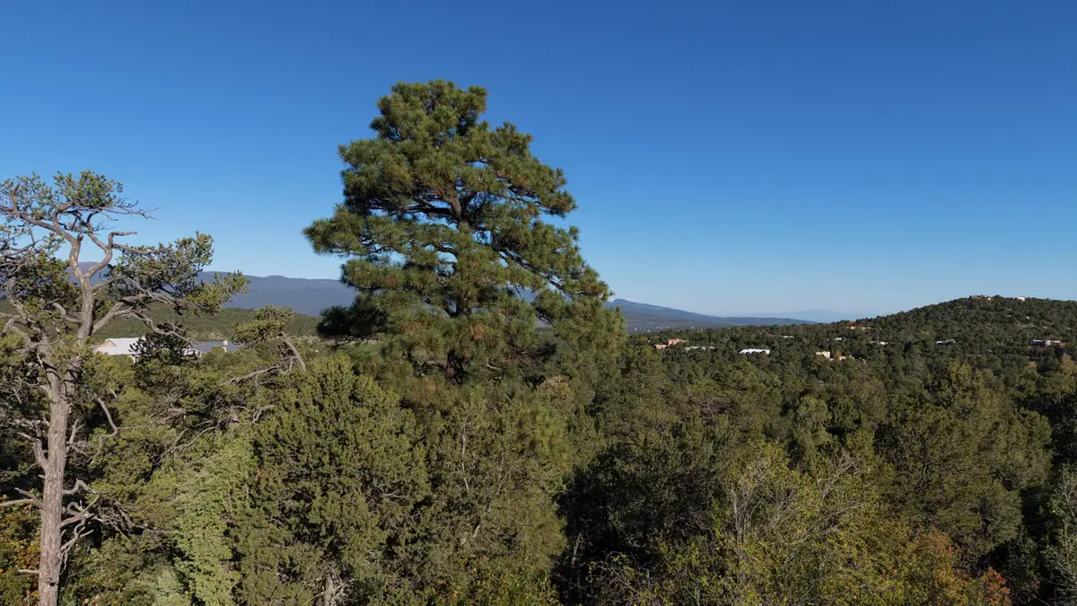 6 Los Pecos Loop, Tijeras, NM 87059 - #1