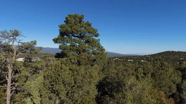 6 Los Pecos Loop, Tijeras, NM 87059